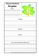 Pflanzensteckbrief-Bergulme.pdf